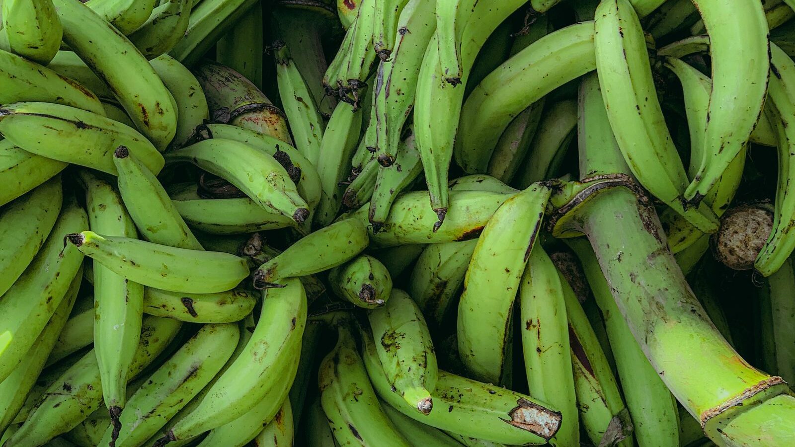 Plátanos verdes, ingrediente de los patacones