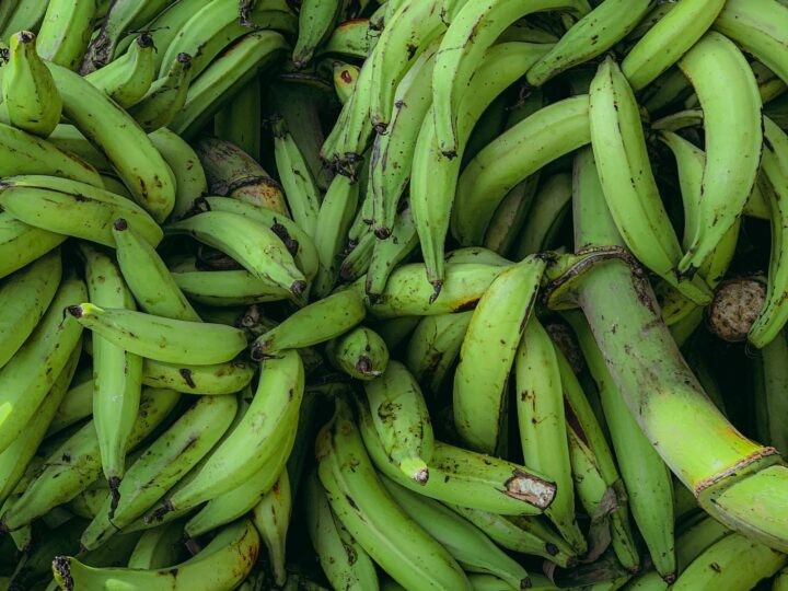 Plátanos verdes, ingrediente de los patacones